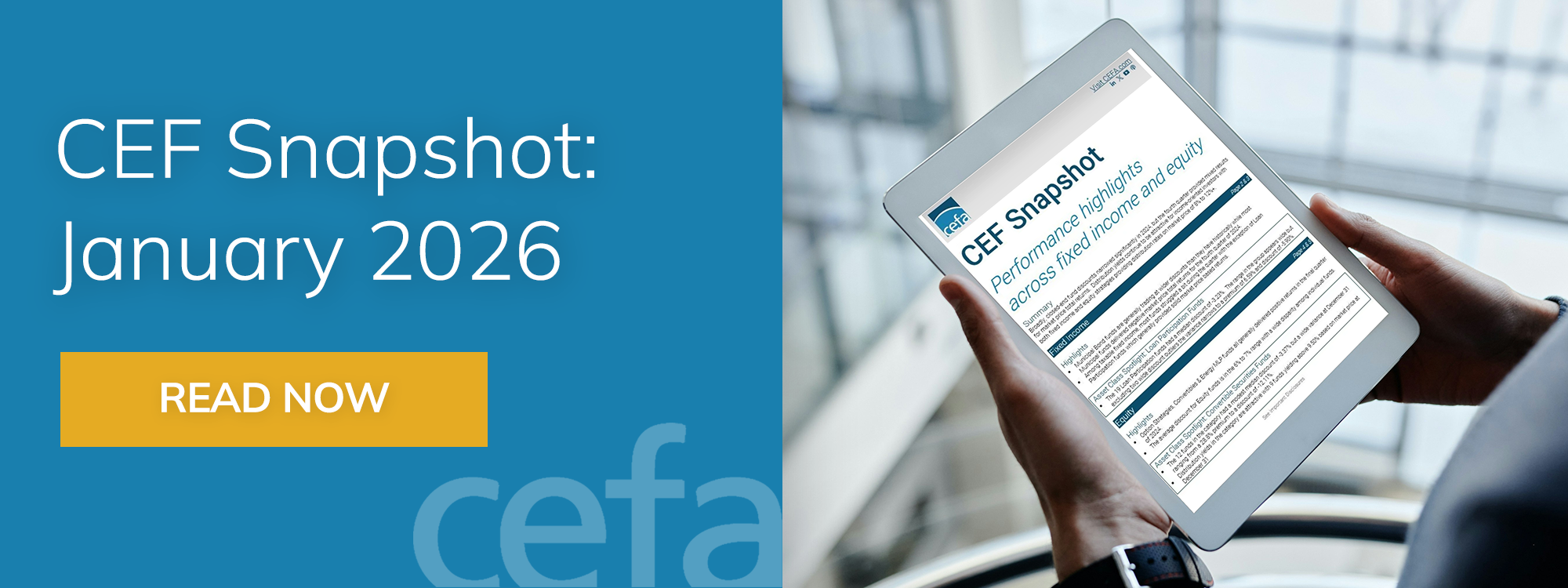 CEF Snapshot January 2026